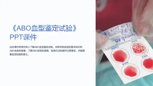 《ABO血型鉴定试验》课件