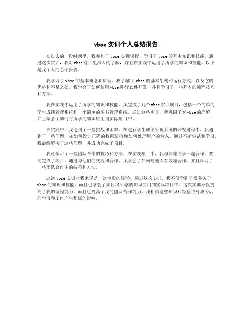 vbse实训个人总结报告