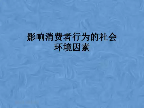 影响消费者行为的社会环境因素
