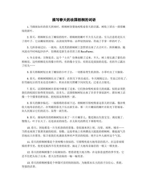 描写春天的法国梧桐的词语