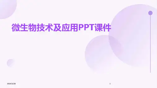 微生物技术及应用PPT课件-2024鲜版