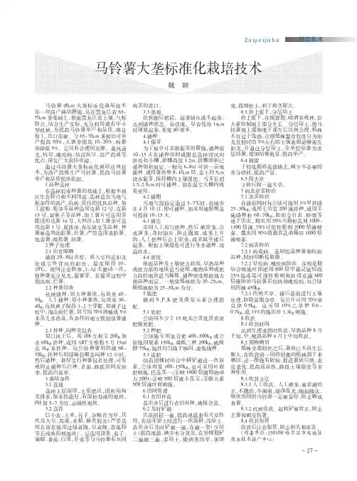 马铃薯大垄标准化栽培技术