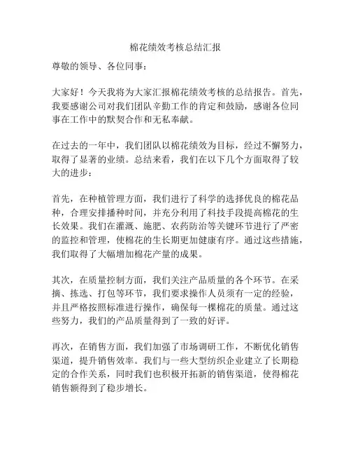 棉花绩效考核总结汇报