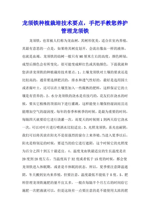 龙须铁种植栽培技术要点,手把手教您养护管理龙须铁