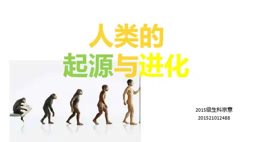 人类起源与进化 ppt课件