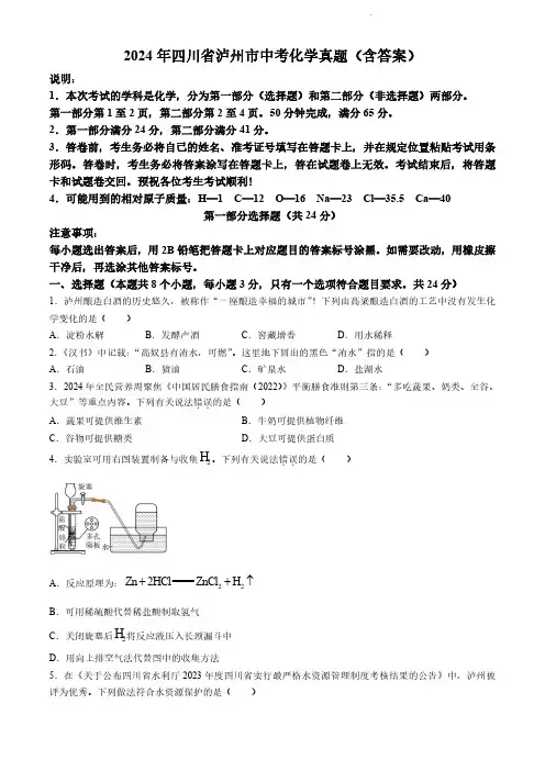 2024年四川省泸州市中考化学真题(含答案)