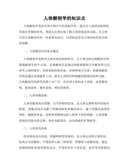 人体解剖学的知识点
