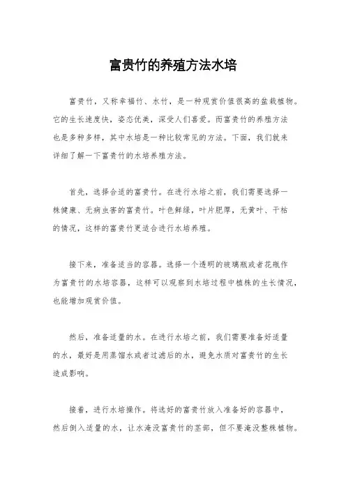 富贵竹的养殖方法水培