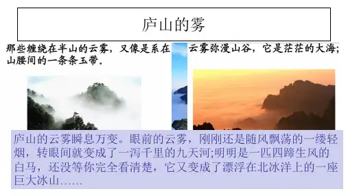 山东省新高考高三三轮冲刺 雾的分类成因(22张ppt)