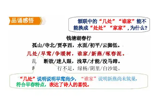 13 唐诗五首 《钱塘湖春行》课件(共14张PPT)