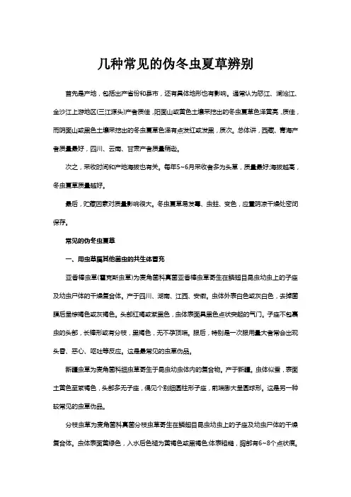 几种常见的伪冬虫夏草辨别