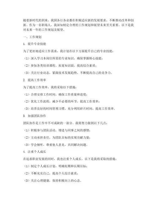 工作规划跟展望