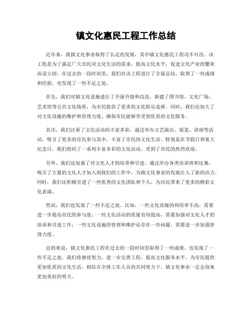 镇文化惠民工程工作总结
