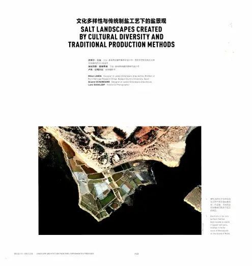 文化多样性与传统制盐工艺下的盐景观