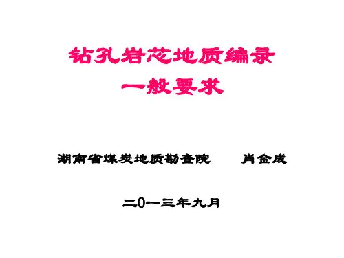 地质编录的一般要求