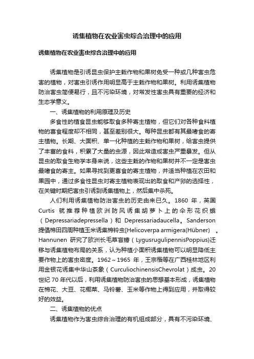 诱集植物在农业害虫综合治理中的应用