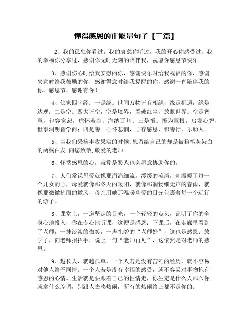 懂得感恩的正能量句子【三篇】