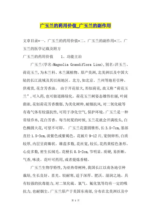 广玉兰的药用价值广玉兰的副作用