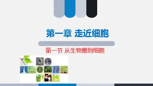 高中生物课件-1.1从生物圈到细胞