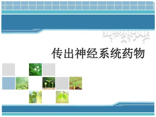 传出神经系统药物1