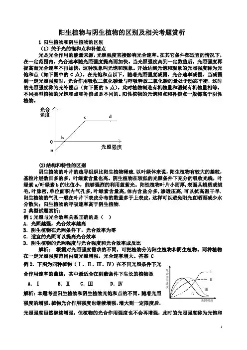 阳生阴生植物比较