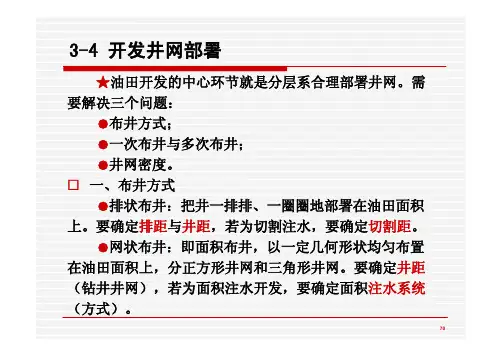 开发井网部署