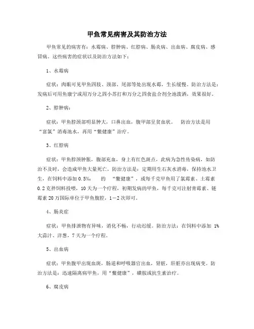 甲鱼常见病害及其防治方法