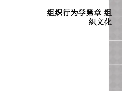 组织行为学第章 组织文化