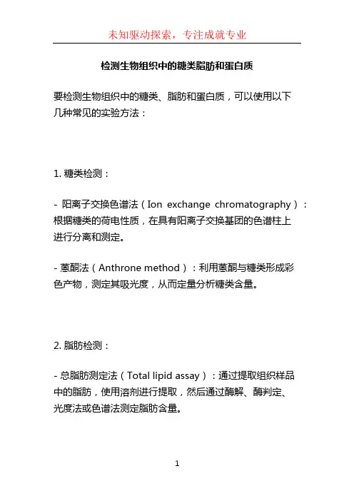 检测生物组织中的糖类脂肪和蛋白质