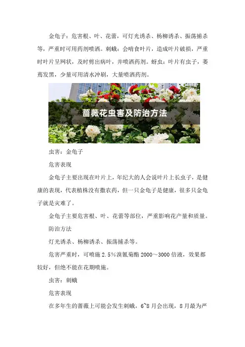蔷薇花虫害及防治方法