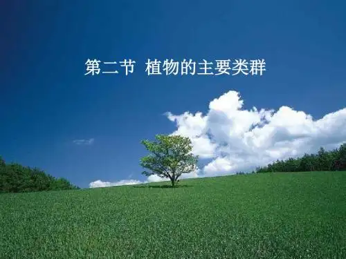 《植物的主要类群》教学课件2 北师大版