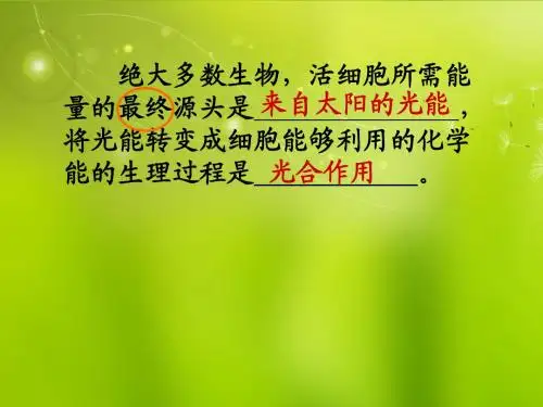 高中生物《第五章 第四节 能量之源 光与光合作用》课件5 新人教版必修1