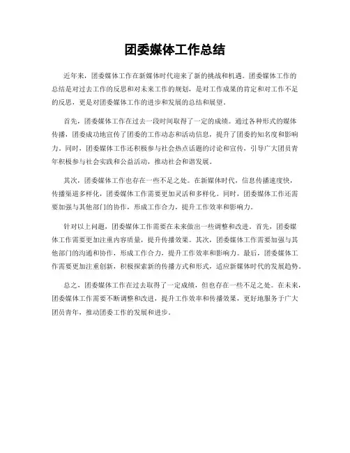 团委媒体工作总结