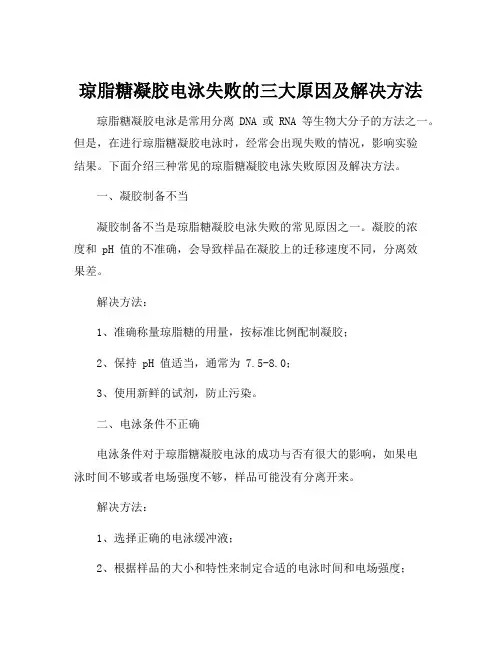 琼脂糖凝胶电泳失败的原因