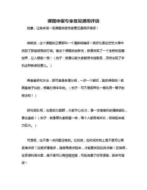 课题申报专家意见通用评语