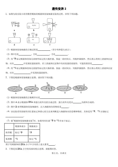 高考生物冲刺练习题——遗传变异2