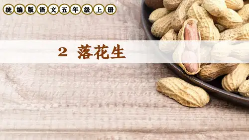 部编版五年级语文上册第2课《落花生》课件
