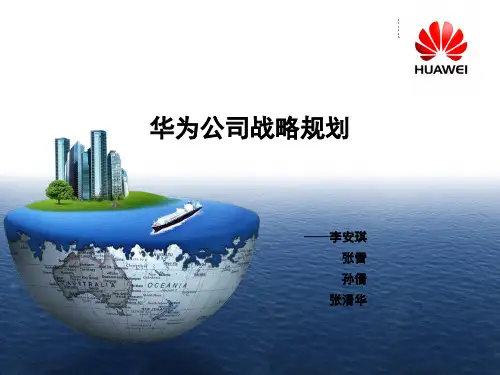华为公司战略规划概要