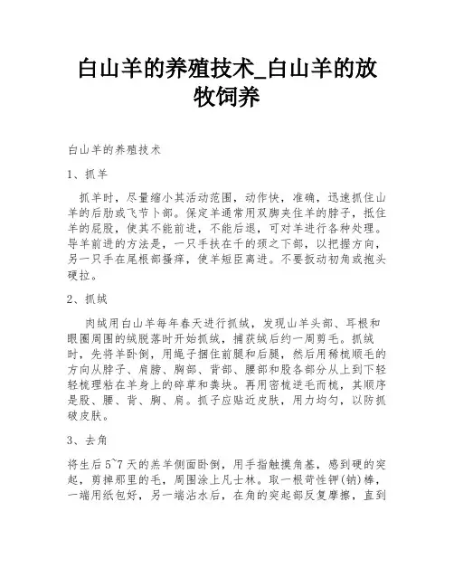白山羊的养殖技术_白山羊的放牧饲养