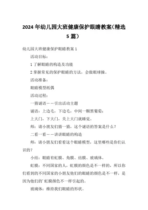 2024年幼儿园大班健康保护眼睛教案(精选5篇)