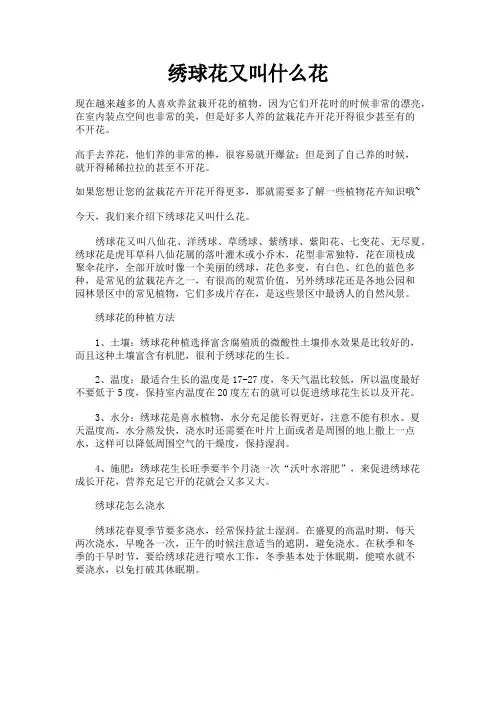 植物花卉知识之绣球花又叫什么花