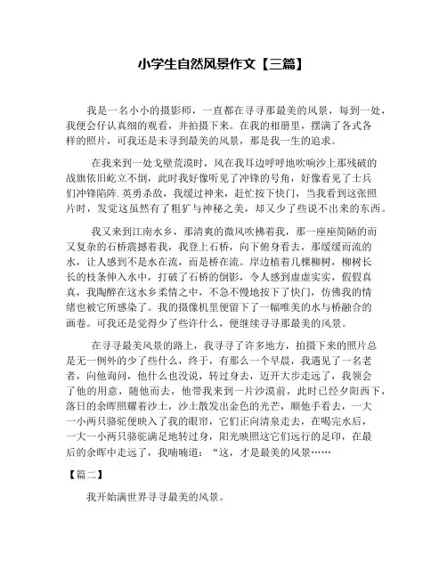 小学生自然风景作文【三篇】