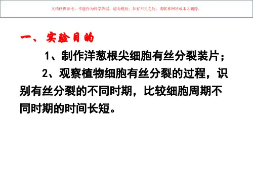 观察根尖分生组织细胞有丝分裂课件