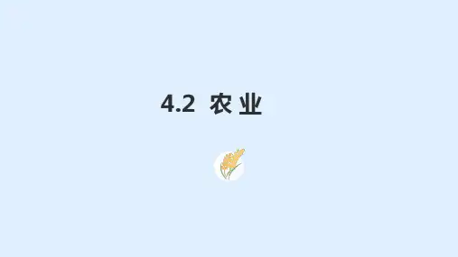 4.2农业课件-八年级地理上学期人教版(精修版)