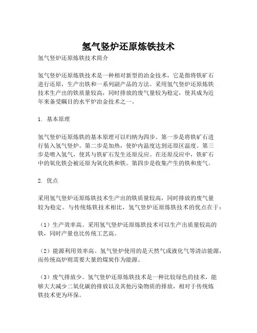 氢气竖炉还原炼铁技术