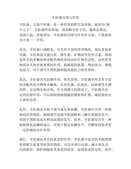 羊肚菌功效与作用