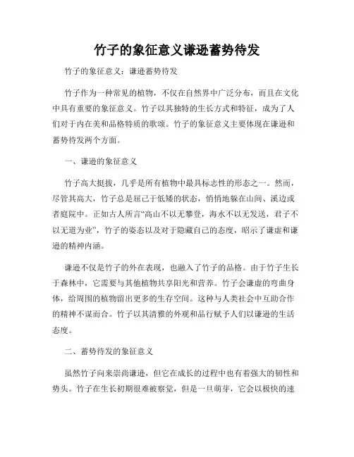 竹子的象征意义谦逊蓄势待发