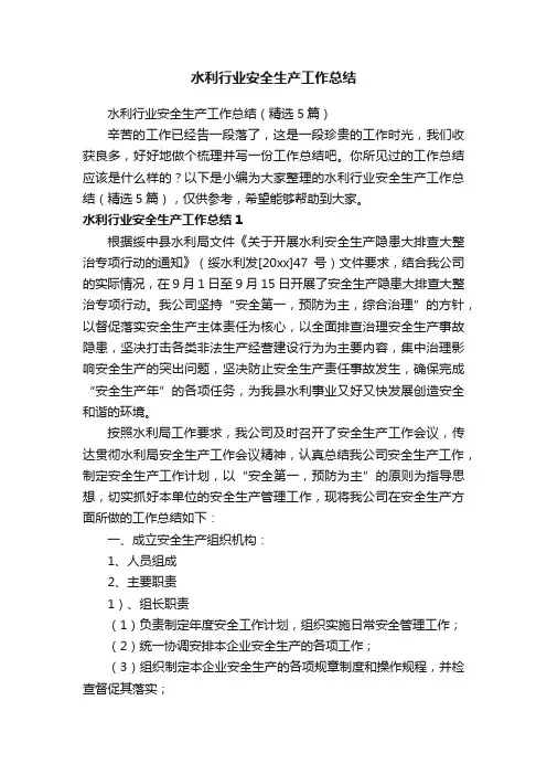 水利行业安全生产工作总结（精选5篇）