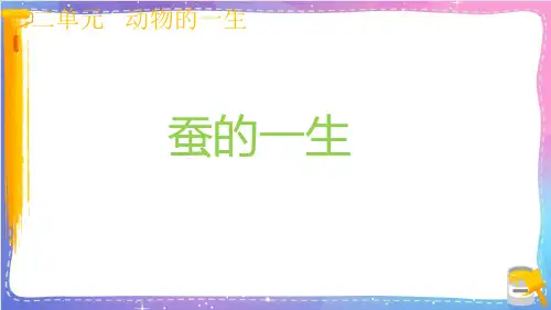 新教科版小学科学三年级下册《蚕的一生》名师教学课件