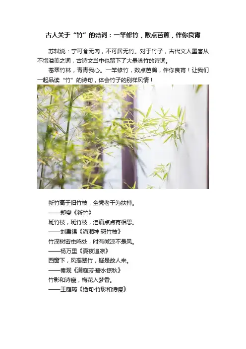 古人关于“竹”的诗词：一竿修竹，数点芭蕉，伴你良宵